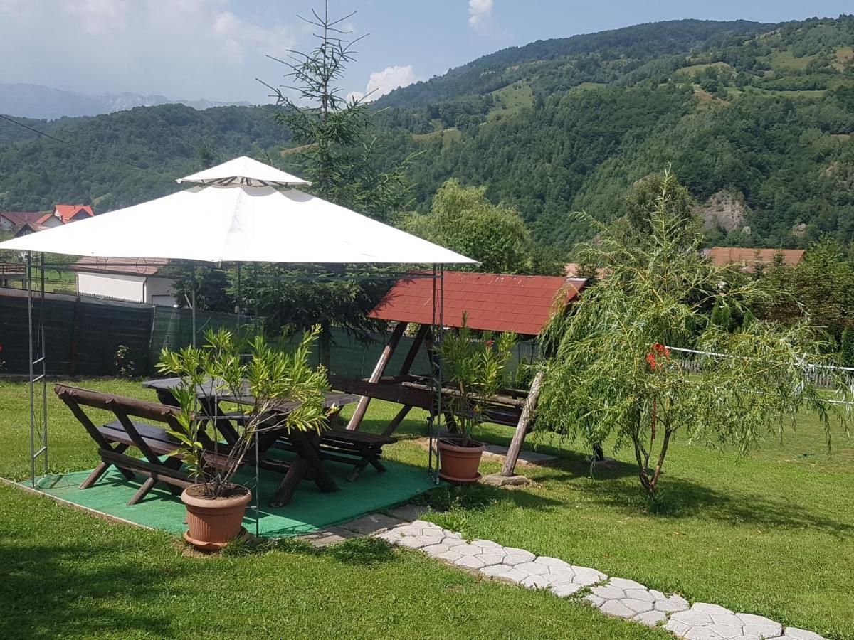 Pensiunea Casa Ady Törcsvár Kültér fotó