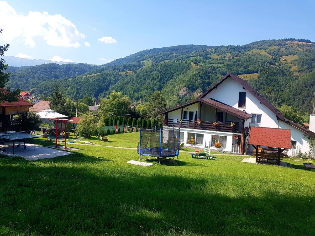 Pensiunea Casa Ady Törcsvár Kültér fotó