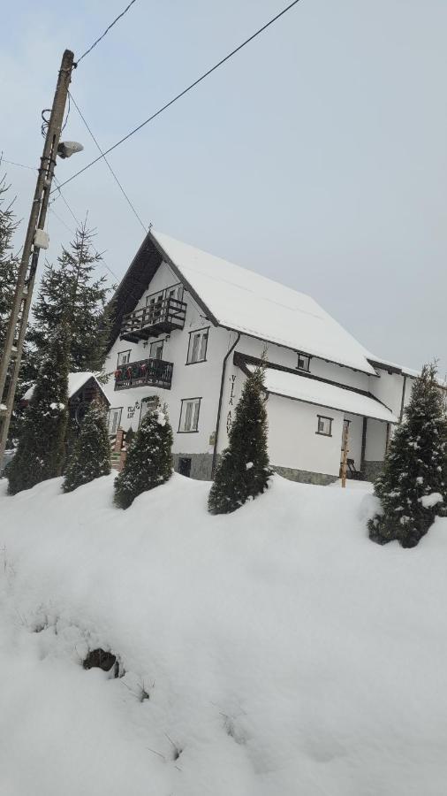 Pensiunea Casa Ady Bran Hotel Törcsvár Kültér fotó