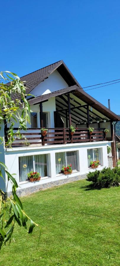 Pensiunea Casa Ady Törcsvár Kültér fotó