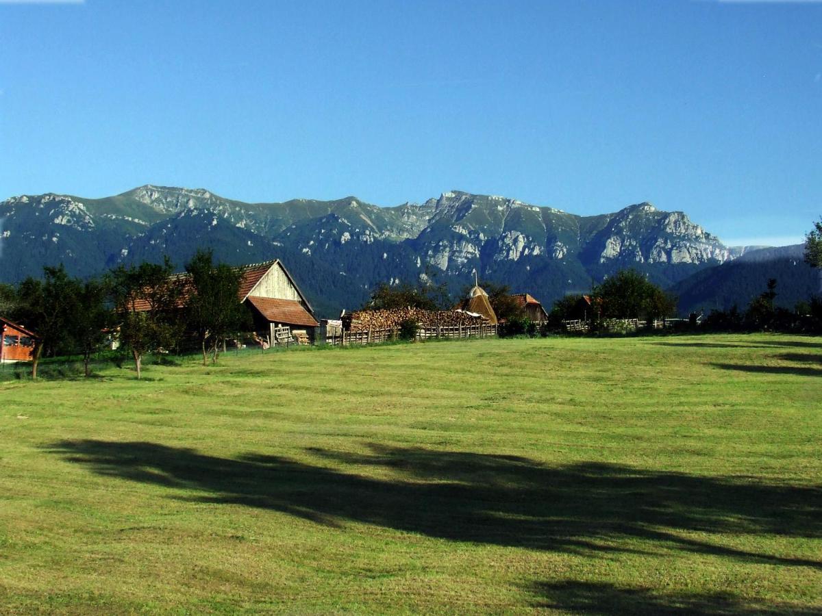 Pensiunea Casa Ady Bran Hotel Törcsvár Kültér fotó