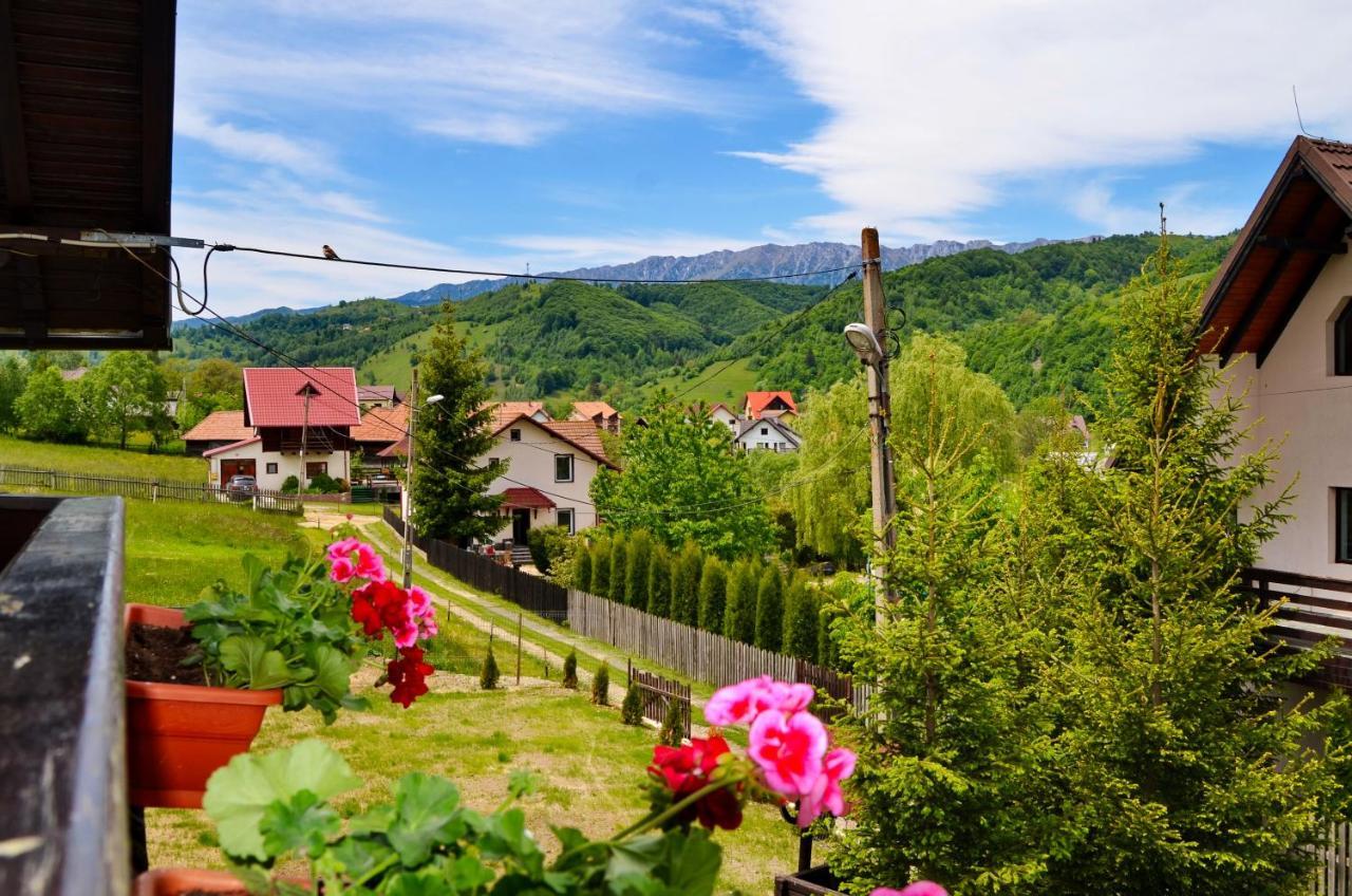 Pensiunea Casa Ady Bran Hotel Törcsvár Kültér fotó